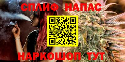 гашик Тара